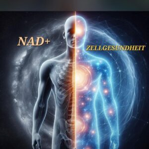 Zellnahrungsvortrag- kostenlos